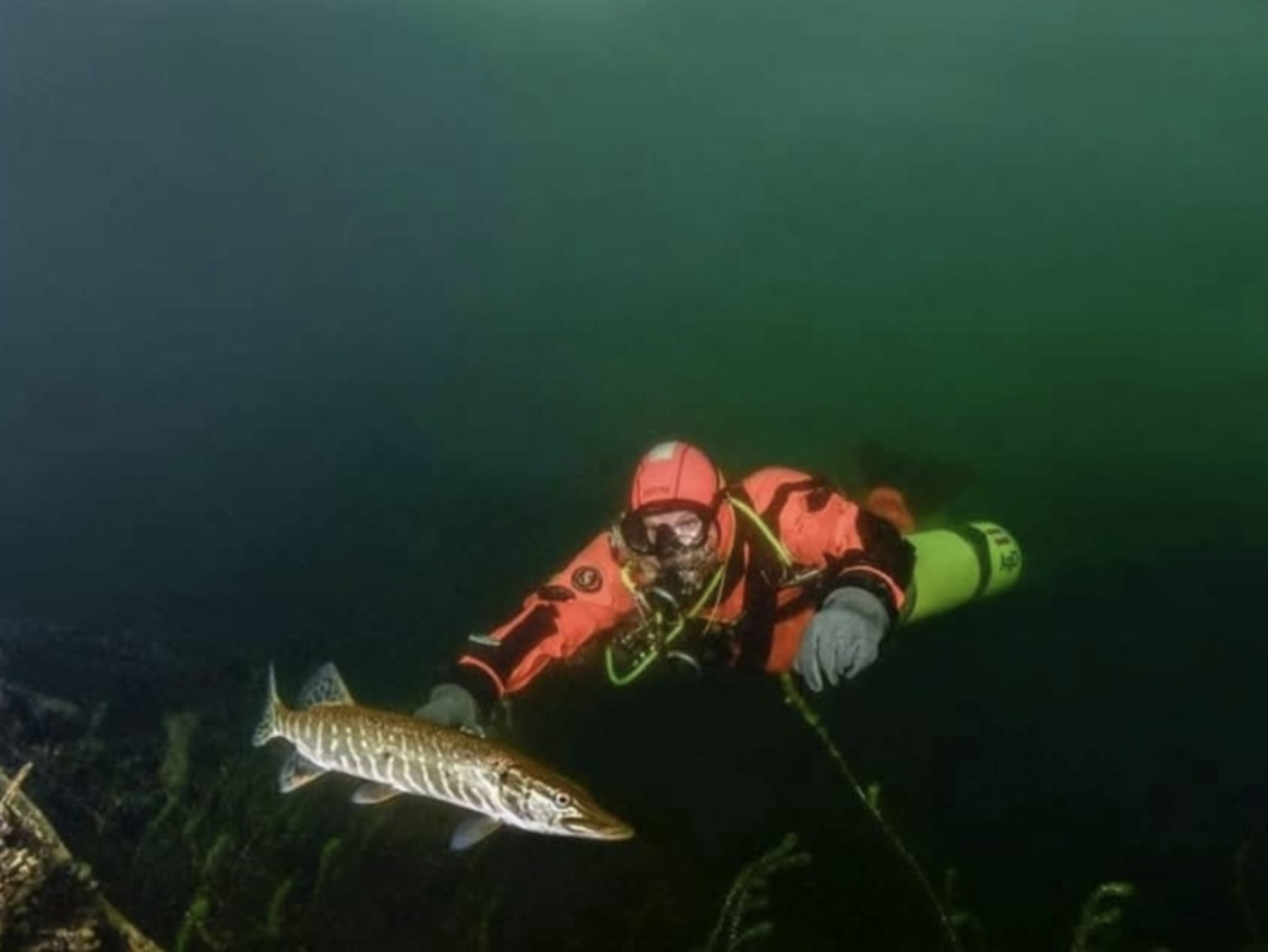 Taucher mit Fisch unter Wasser